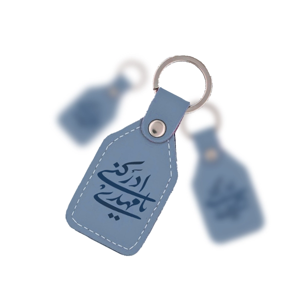 دسته بندی جاسوییچی