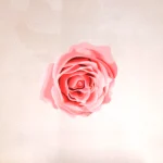 کتیبه مخمل سرداران کربلا زمینه کرم