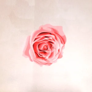 کتیبه مخمل سرداران کربلا زمینه کرم