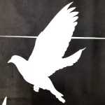 کتیبه مخمل با شعار قربون کبوترای حرمت امام حسن عمودی تک عددی