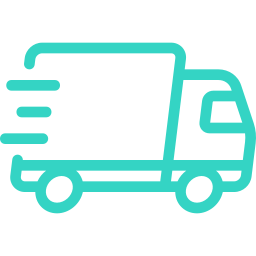 express delivery